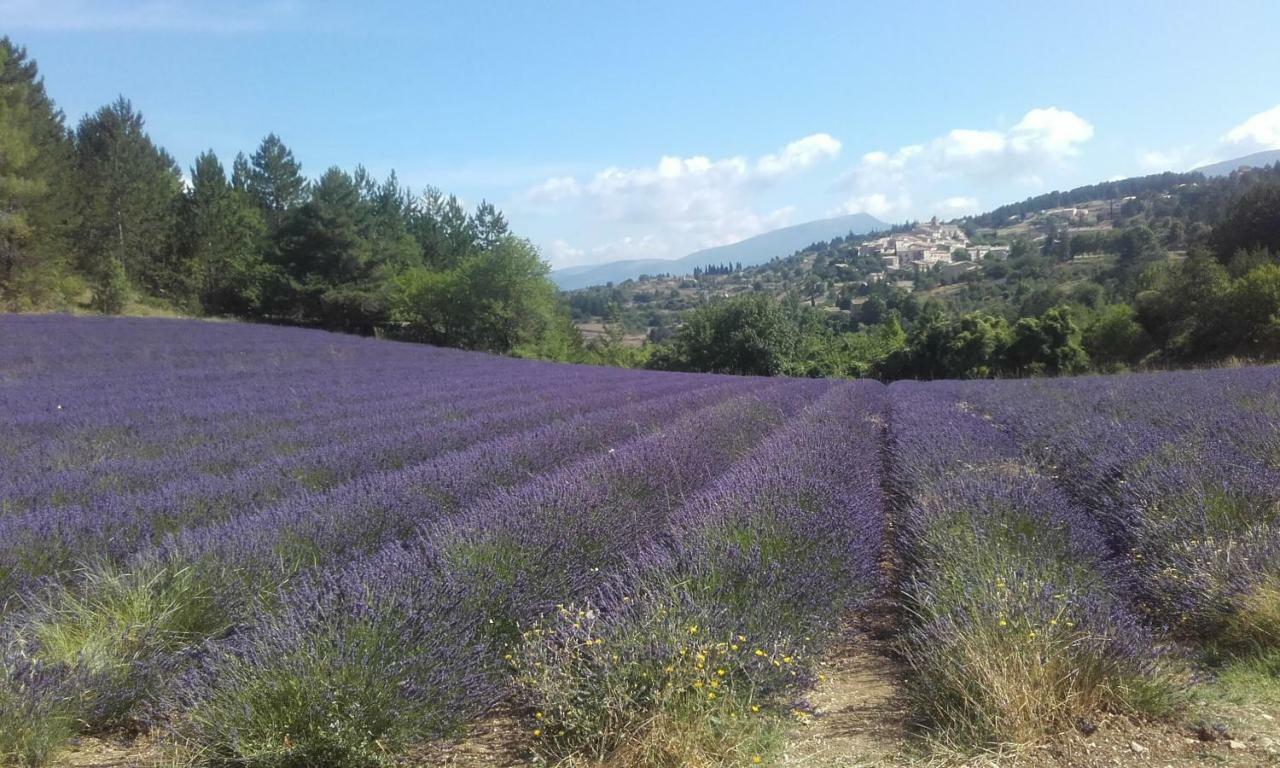 Le Petit Ventoux Hotel Malaucène Екстериор снимка